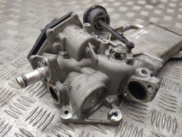 Seat Exeo (3R) EGR-venttiili/lauhdutin V29009967