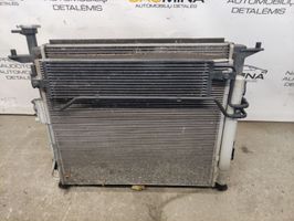 KIA Sorento Set del radiatore 