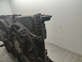 Audi A5 8T 8F Radiatorių komplektas 8K0260401H