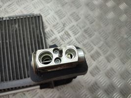 Ford C-MAX II Gaisa kondicioniera radiators (salonā) AV6N19849AB