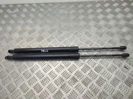 Ford Turneo Courier Tailgate/trunk strut/damper ET76A406A10AB