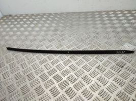 Volkswagen Tiguan Windshield trim 