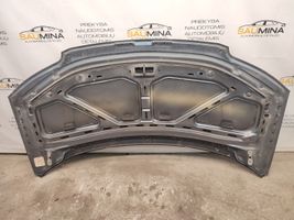 Volkswagen Sharan Engine bonnet/hood 