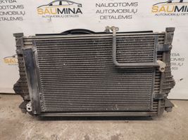 Volkswagen Sharan Radiator set 7M3121203G