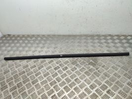 Volkswagen Golf Sportsvan Rear door glass trim molding 