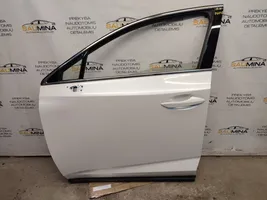 Lexus NX Front door 