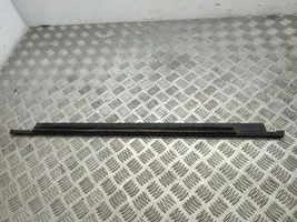 Audi A1 Rear door glass trim molding 