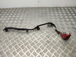 Toyota RAV 4 (XA50) Câble de batterie positif 8212242211