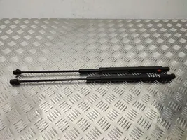 Mercedes-Benz GLK (X204) Tailgate/trunk strut/damper A2049801064