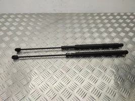 Mercedes-Benz GLK (X204) Tailgate/trunk strut/damper A2049801064