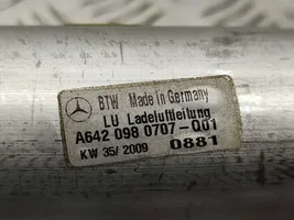 Mercedes-Benz GLK (X204) Välijäähdyttimen letku A6420980707