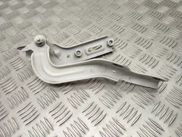 Chrysler Pacifica Engine bonnet/hood hinges 