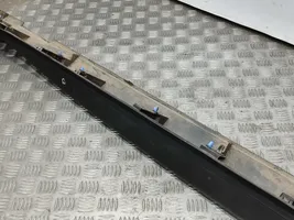 Citroen C4 Cactus Sill 