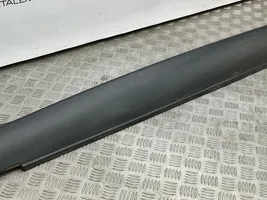 Citroen C4 Cactus Sill 