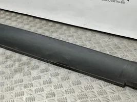 Citroen C4 Cactus Sill 