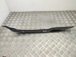 Citroen C4 II Picasso Panel wykończeniowy błotnika 9676660780