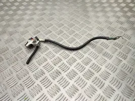 Ford Focus Cable negativo de tierra (batería) F1FT10C679BA