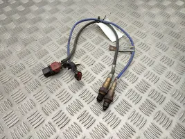 Ford Focus Sonde lambda F1FA9Y460CA