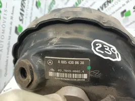 Mercedes-Benz SLK R170 Stabdžių vakuumo pūslė 