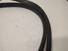 Renault Megane III Front door rubber seal 