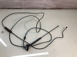 Volkswagen PASSAT B5 Antenna autoradio 