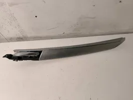 BMW X5 E70 Front door trim (molding) 4992900