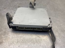 Toyota Prius (NHW20) Engine control unit/module 8966147170