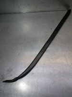 Jaguar X-Type Other sill/pillar trim element 1X435403683AC