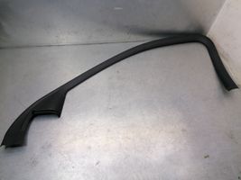 Jaguar X-Type Front door glass trim molding 1X435420890AJ