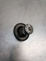 Toyota Prius (XW10) Thermostat 