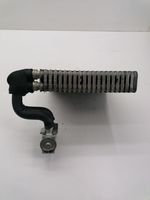 Renault Clio III Radiatore aria condizionata (A/C) (abitacolo) 52972308L