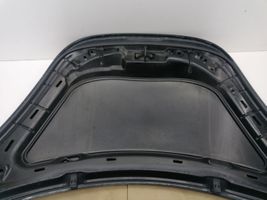 Volkswagen New Beetle Dangtis variklio (kapotas) 