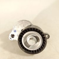 Renault Master III Napinacz paska alternatora 117507568R