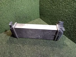 Renault Kangoo II Radiatore intercooler 8200427469