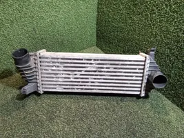 Renault Kangoo II Intercooler radiator 8200427469