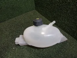 Renault Master III Coolant expansion tank/reservoir 217100015R