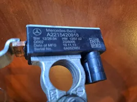 Mercedes-Benz S W222 Maakaapeli, akku A2215420918