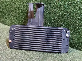 Renault Master III Degvielas dzesētājs (radiators) 243561500R