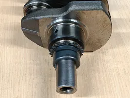 Citroen Jumper Crankshaft 