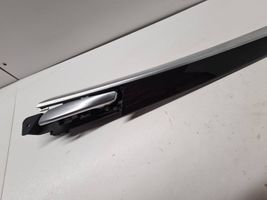 BMW X5 E70 Rivestimento della portiera posteriore 4993101