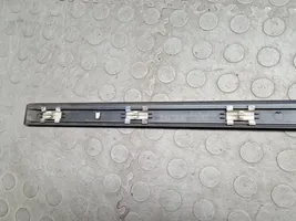 BMW 5 E39 Rear door trim (molding) 7004025