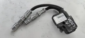 Renault Scenic IV - Grand scenic IV High voltage ignition coil 0221503012