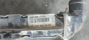 Mercedes-Benz C W202 Aušinimo skysčio radiatorius 2025003203