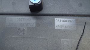 Peugeot 5008 II Rivestimento della portiera anteriore (modanatura) 9811603977