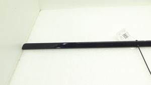 BMW X5 E70 Front door trim (molding) 8036788