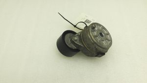 Citroen C3 Tendicinghia generatore/alternatore 9675874680