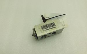 Hummer H3 Air conditioning (A/C) expansion valve 204110AI34544