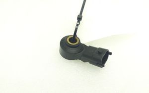 Porsche Panamera (970) Detonation knock sensor 0261231173