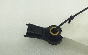 Porsche Panamera (970) Sensor de petardeo del motor 0261231173