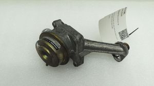 Mercedes-Benz CL C215 EGR-venttiili A1131400260